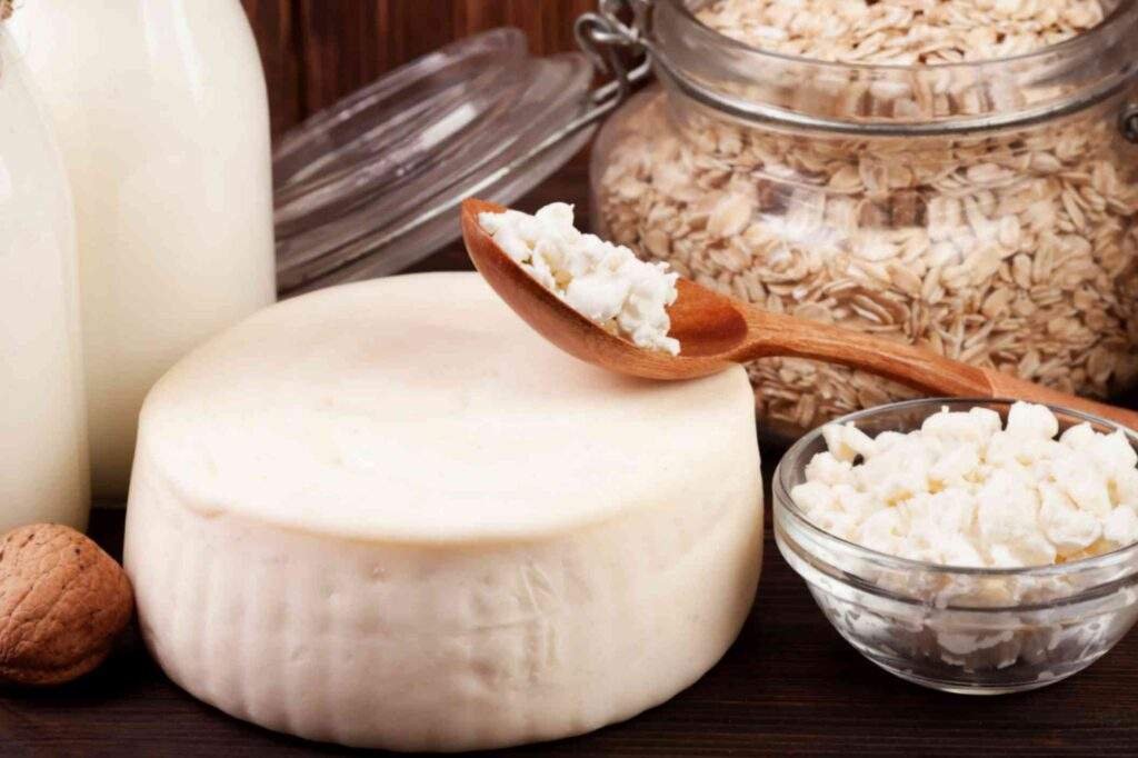 jpeg optimizer close up cheese dairy products