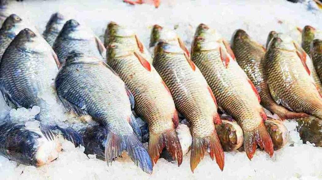 Deretan ikan segar disusun di atas es batu di pasar, siap dijual untuk konsumsi.
