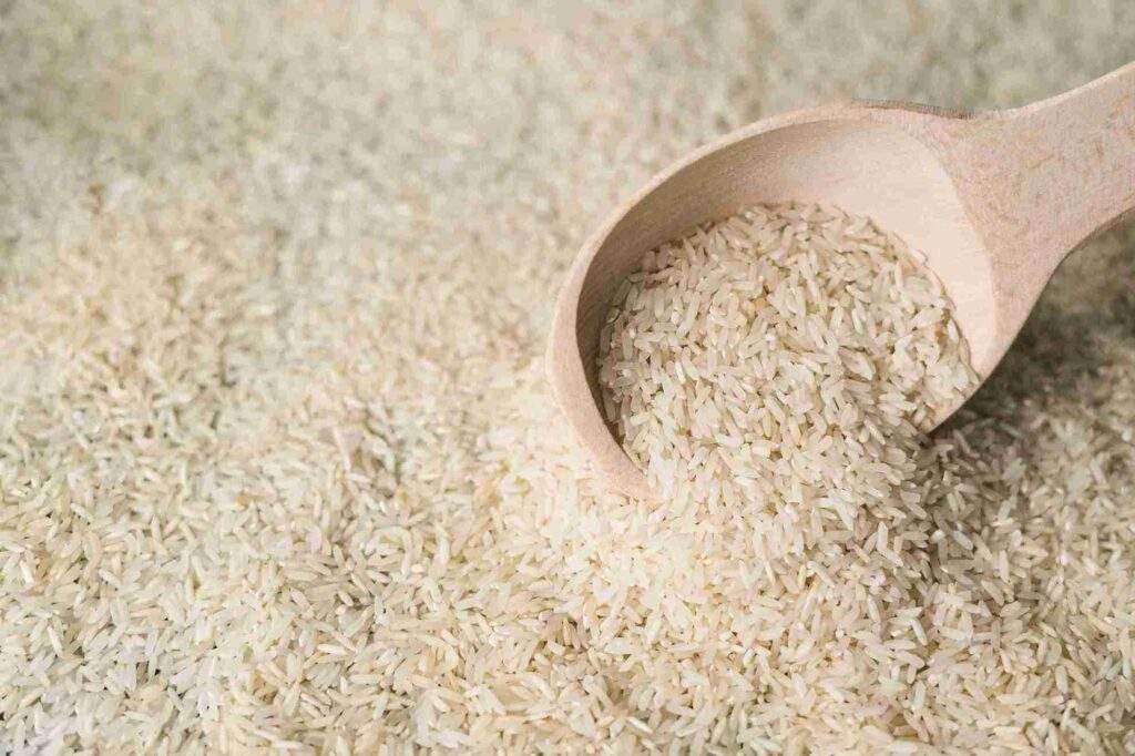 Sudah Beli Beras Bagus, Tapi Tetap Kutuan? Ini Jawaban yang Kamu Cari 1 Cara Menyimpan Beras Agar Terhindar dari Kutu