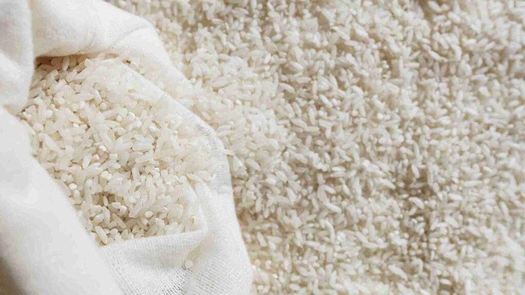 Cara Menyimpan Beras Agar Tidak Kutuan dan Bau
