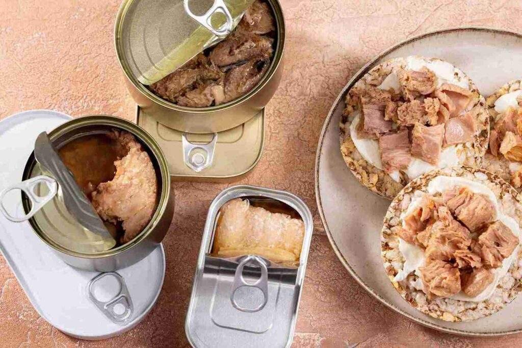 Rekomendasi Makanan Kaleng Siap Saji & Panduan Lengkap